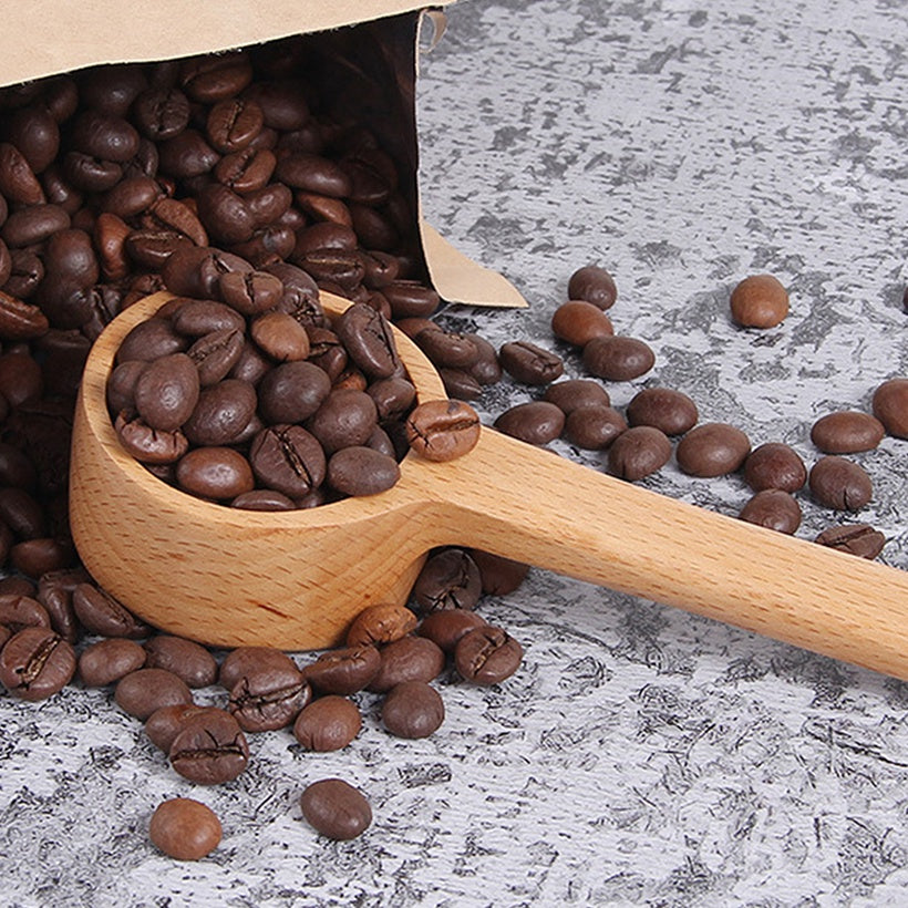 Wooden Seasoning Spoon