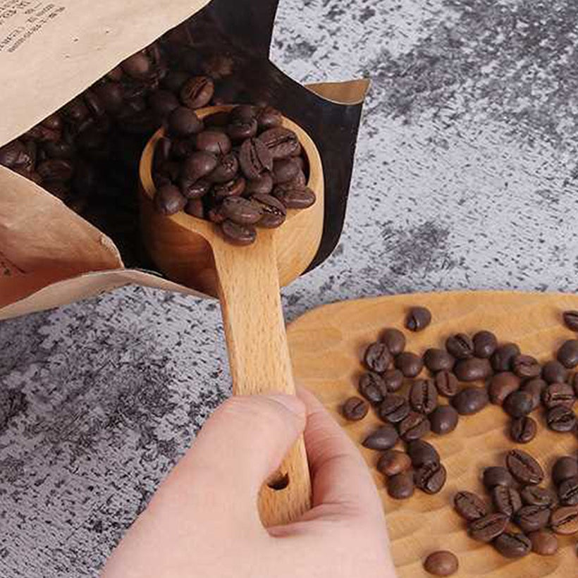 Wooden Seasoning Spoon